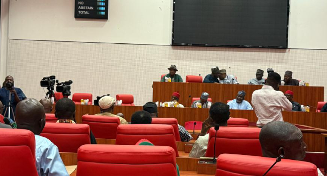 Senate Pays Tribute To Fallen Soldiers In Borno