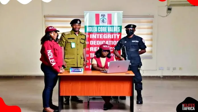 NDLEA Unveils Online Portal for Drug Integrity Test and Visa Clearance