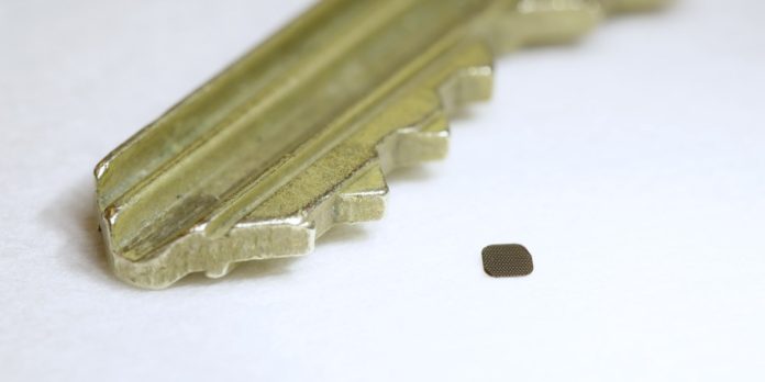 The Download: a promising retina implant, and how climate change affects flowers