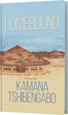 Lincoln, NE Author Publishes Fiction Novel