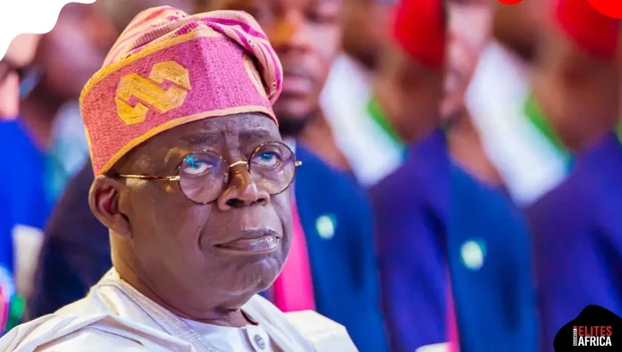 FG’s 1-Year Youth Fellowship: Who Qualifies, How to Apply, and What You Will Earn