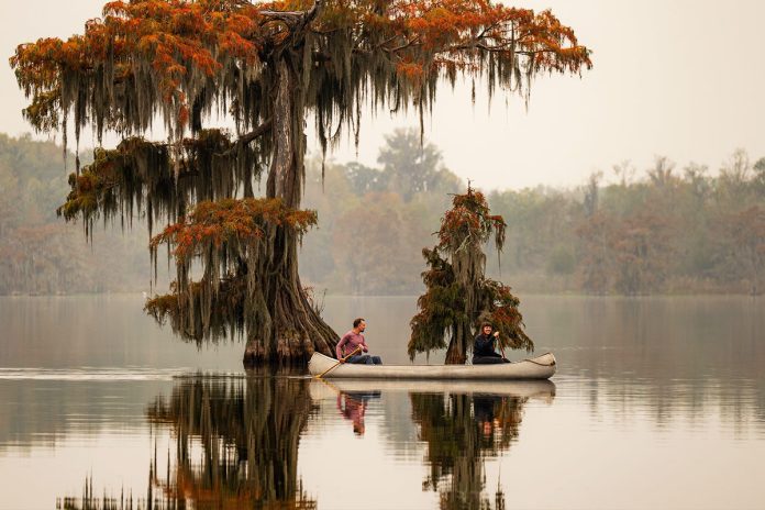 Fall in Lafayette Lousiana