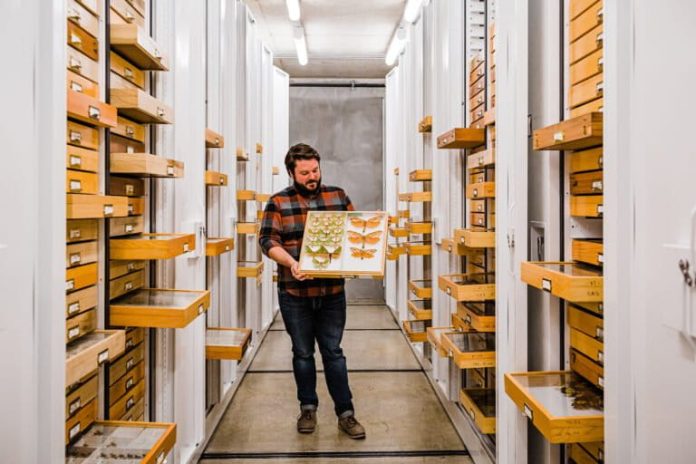 Inside California’s race to document its insects: A conversation with Chris Grinter