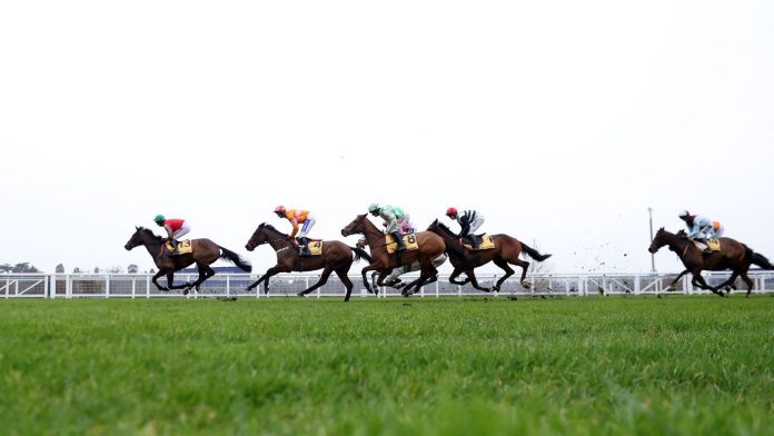 Today on Sky Sports Racing: Idaho Sun faces Doctor Blue in top clash at Ascot