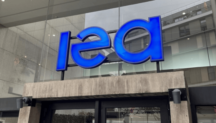 Nigeria’s gas resource pivotal to closing Africa’s energy access deficit – IEA