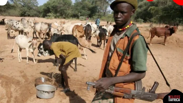 Tinubu Wants Herders to Surrender Illegal Weapons:Will It Work?