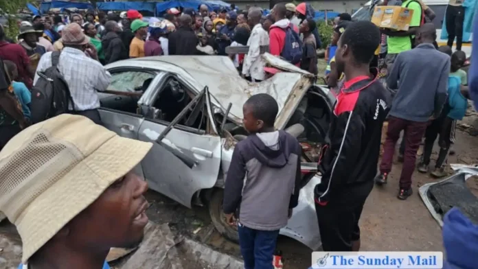 Passenger Dies After Two Trees Fall On Honda Fit In Freak Accident In Chitungwiza