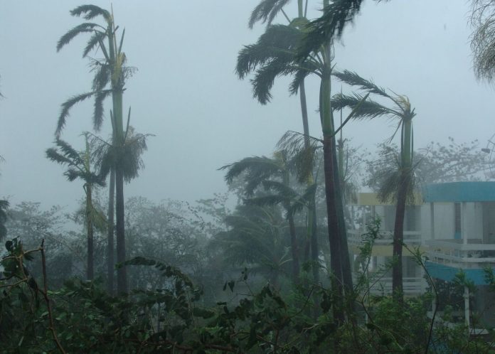 WEATHER: Heavy rain, winds and HAIL expected this WEEKEND
