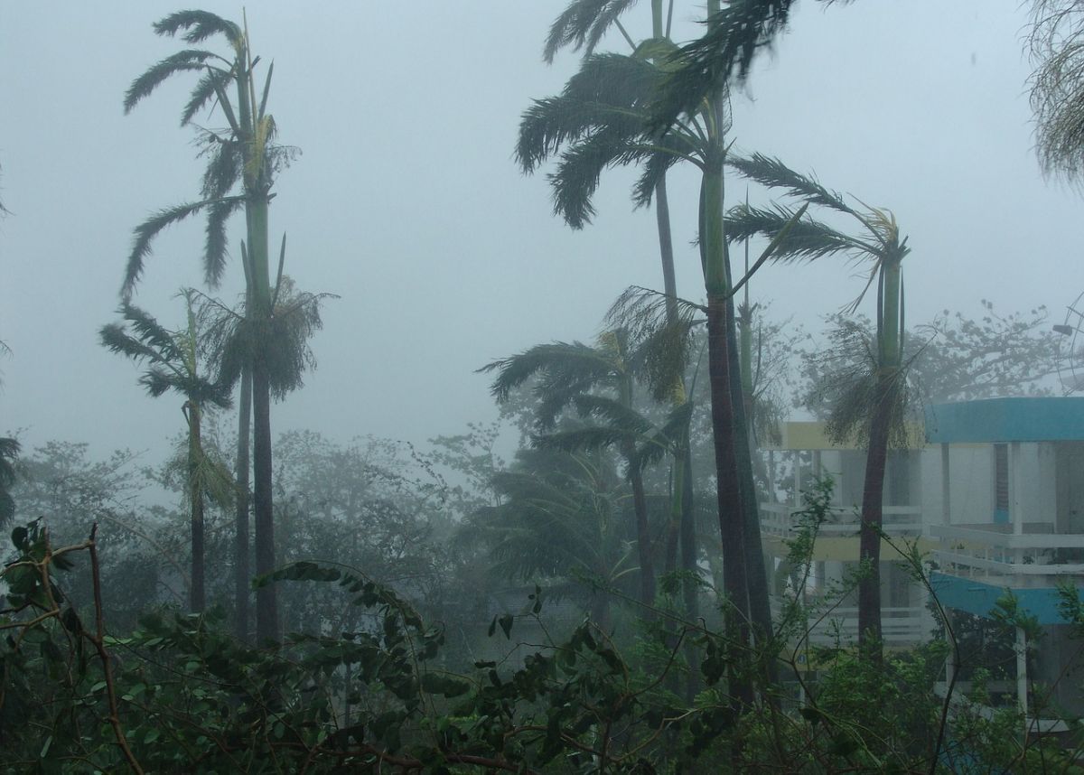 weather-heavy-rain-winds-and-hail-expected-this-weekend.jpg WEATHER: Heavy rain, winds and HAIL expected this WEEKEND