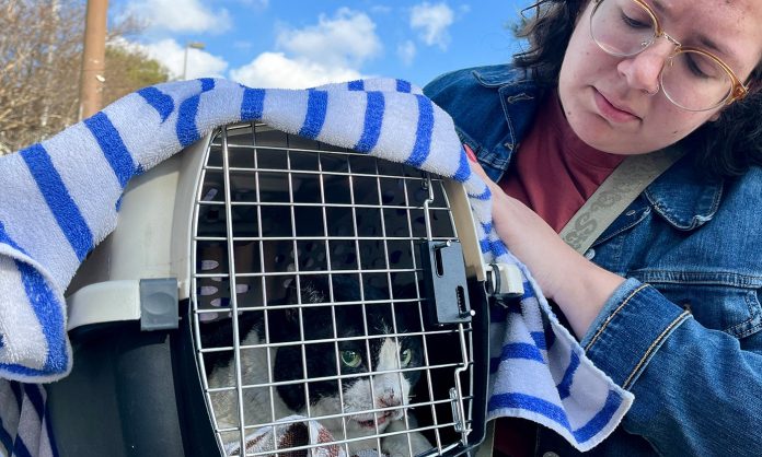 Renters With Pets Organize After Climate Disasters