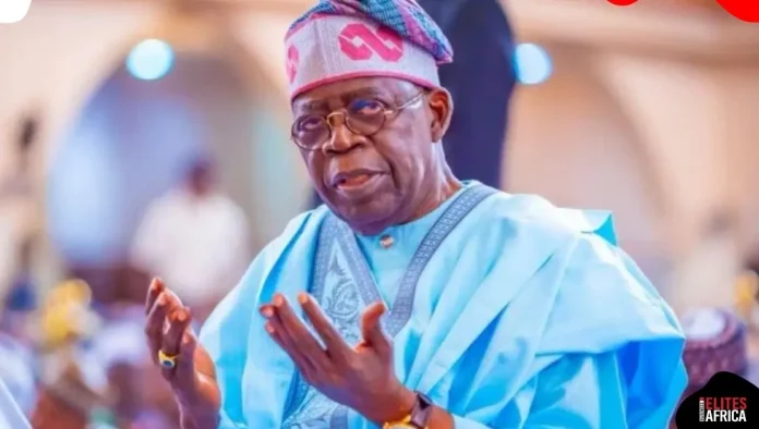 The Nigerian Government Bodies That Performed Best and Worst in 2025