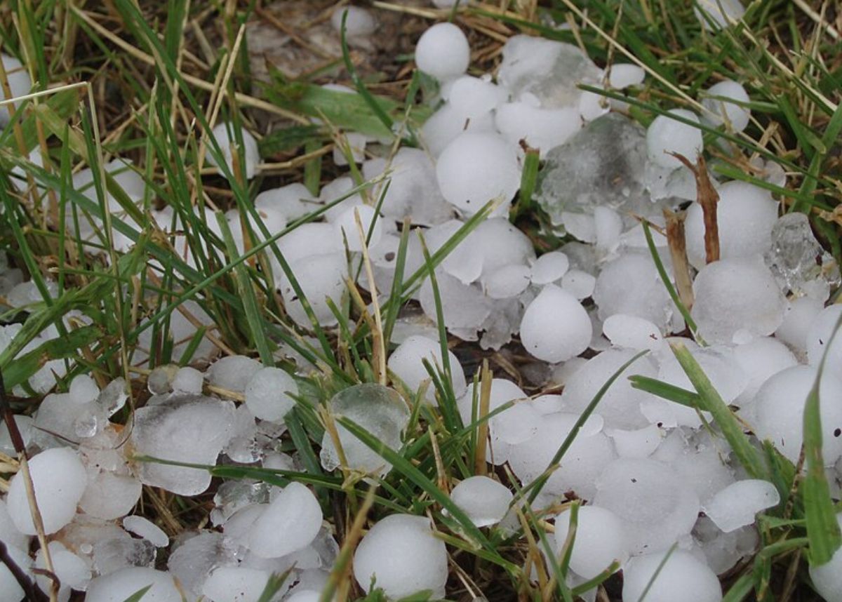 weather-severe-storms-with-heavy-rain-and-large-hail-expected-in-five-provinces.jpg WEATHER: Severe storms with heavy rain and large HAIL expected in FIVE provinces