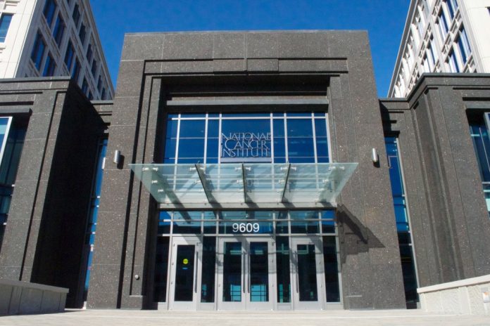 Trump Rules Force Cancer Registries To ‘Erase’ Trans Patients From Public Health Data