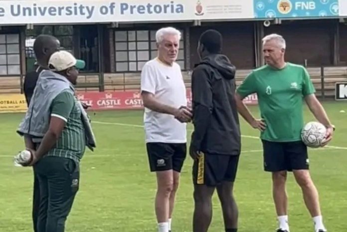 ‘It is mind-boggling’: SAFA responds to Broos comments