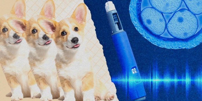 Take our quiz on the year in health and biotechnology