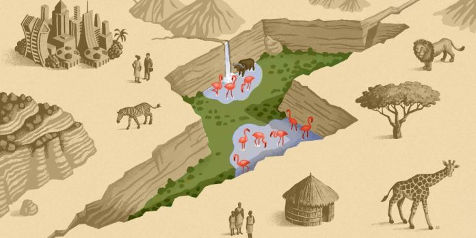 Welcome to Kenya’s Great Carbon Valley: a bold new gamble to fight climate change