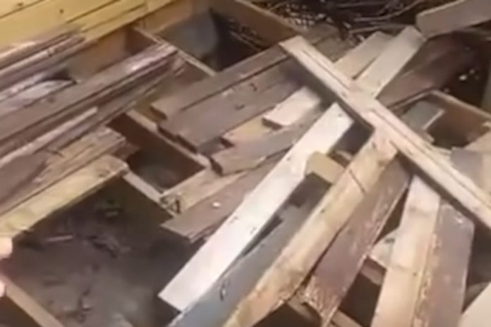 Joburg couple finds humour in Airbnb rental shocker in Cape St Francis – WATCH