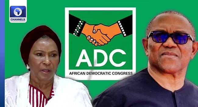 I’ll Work For Obi, Any Candidate Who Wins ADC Presidential Ticket — Sen. Ireti Kingibe