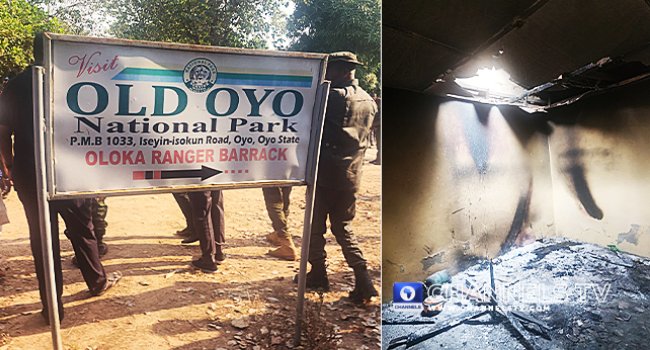 Police Launch Manhunt For Killers Of Five Oyo Forest Rangers