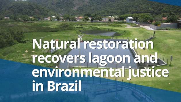Natural Restoration Recovers Lagoon and Environmental Justice in Brazil: VIDEO