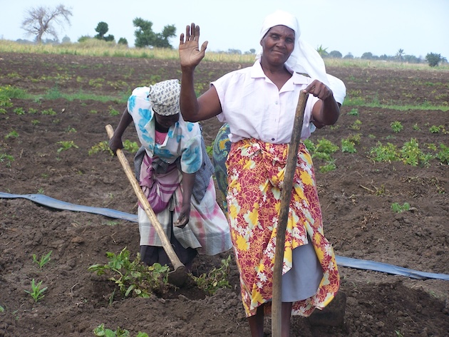 Excluding Food Systems From Climate Deal Is a Recipe for Disaster