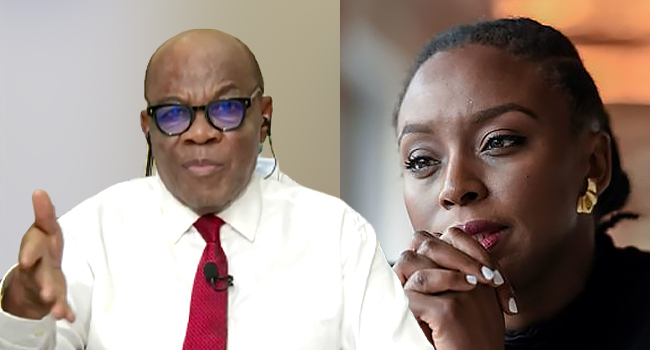 Agbakoba Calls For Probe Of Chimamanda’s Son’s Death, Demands Health Reforms