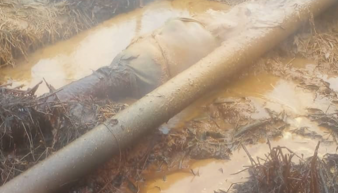 Fresh oil spill rages at Ahoada, threatens environment in Rivers