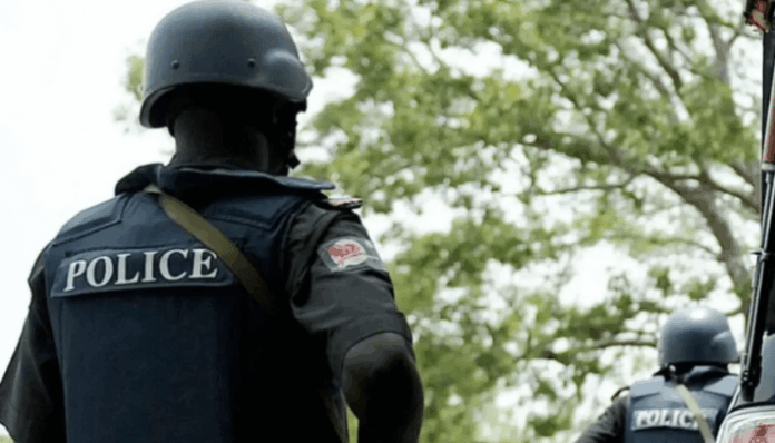 State Police and the questions Nigeria can no longer avoid
