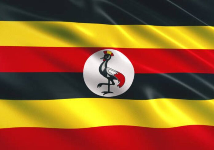 Uganda orders internet shutdown as Museveni seeks another term