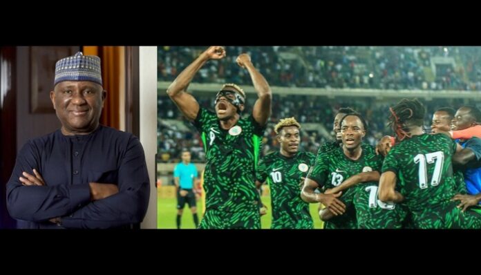 AFCON: Despite loss, BUA’s Rabiu vows to give brave Super Eagles $500,000