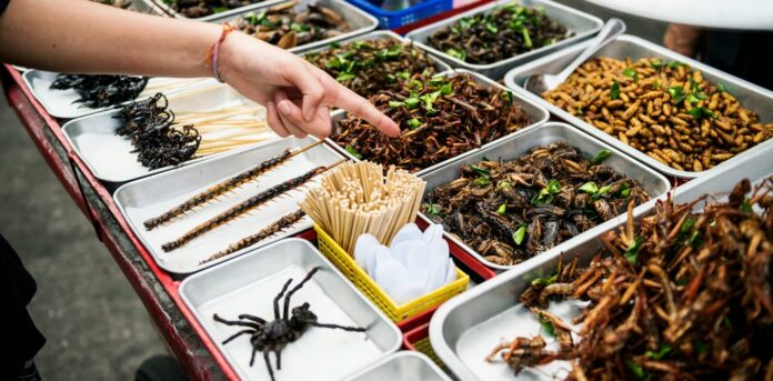 Eating insects: A sustainable solution or an overhyped idea?