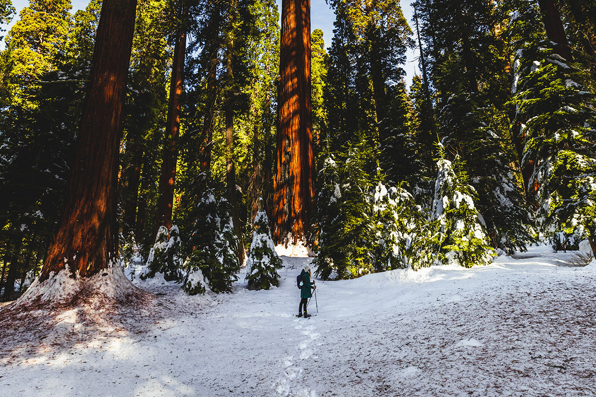 fresno-county-not-what-you-thought-just-what-you-needed.jpg Fresno County: Not What You Thought, Just What You Needed