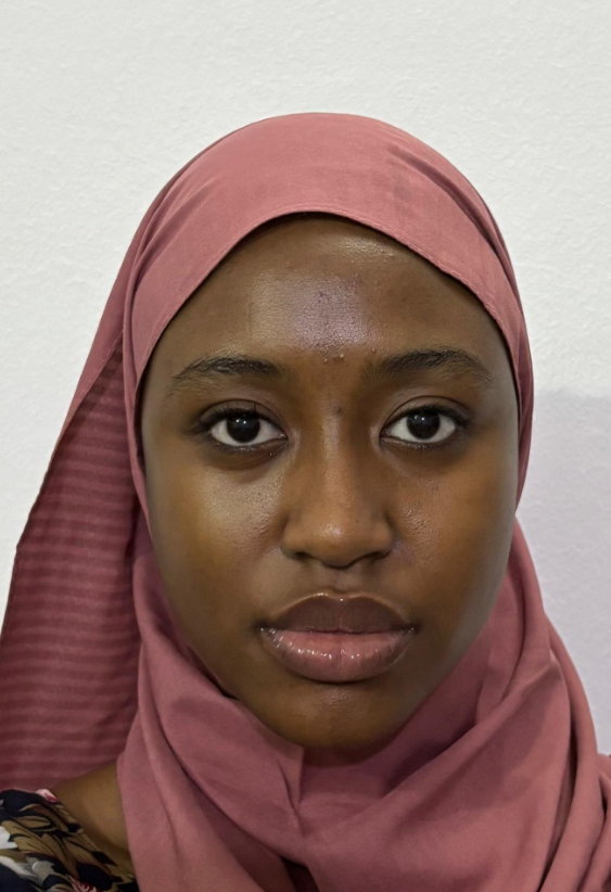 How AI Stories Quietly Took Over My Screen — And What It Means for Kannywood, by Fatimah Yusuf Usman