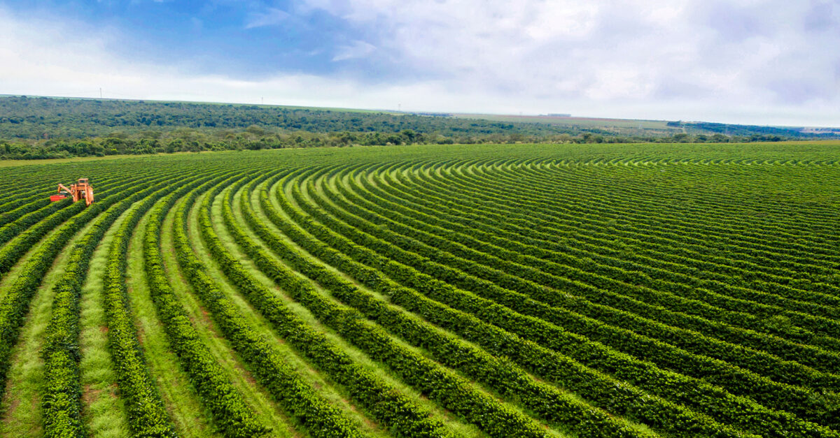 an-almanac-to-agriculture.jpg An Almanac to Agriculture