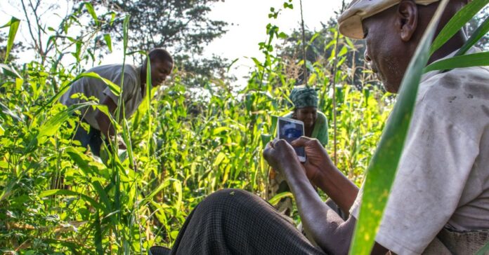 Brastorne, the startup bringing rural Africans online, is expanding to Ivory Coast