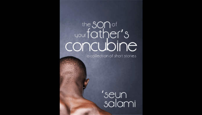 Where Ordinary Lives Carry Extraordinary Weight – A review of Seun Salami’s The Son of Your Father’s Concubine