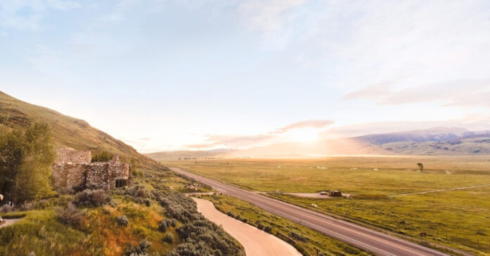 The Wonder of Wildlife Art