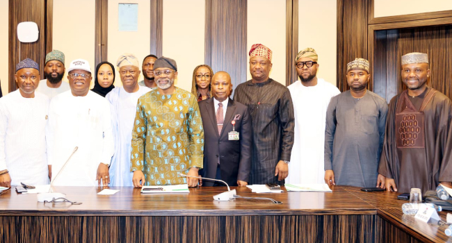 Tinubu Inaugurates Committee On Grid Asset Management Company