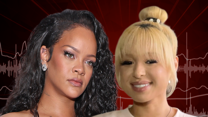 Audio Released of Rihanna’s Alleged Home Shooter Getting Arrested