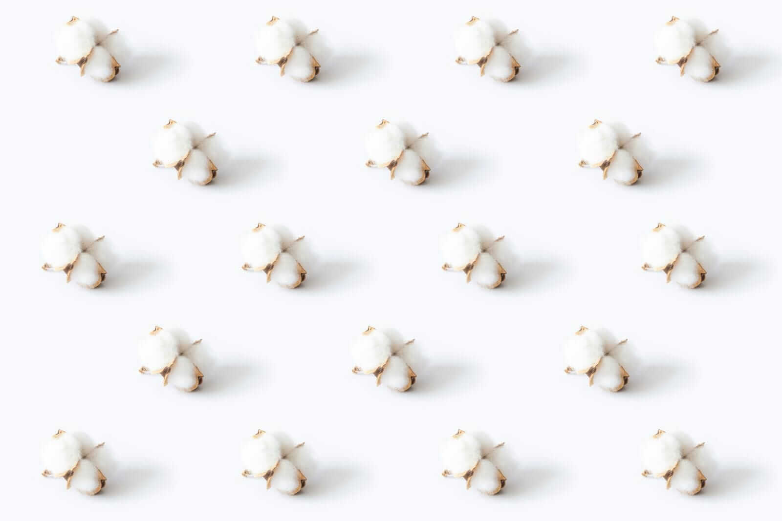 cotton-posts-friday-rally.jpg Cotton Posts Friday Rally