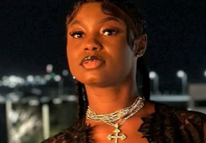 JUST IN: “I Disappointed You All” — King Mitchy Apologises to Ooni of Ife, Seyi Tinubu, VeryDarkMan