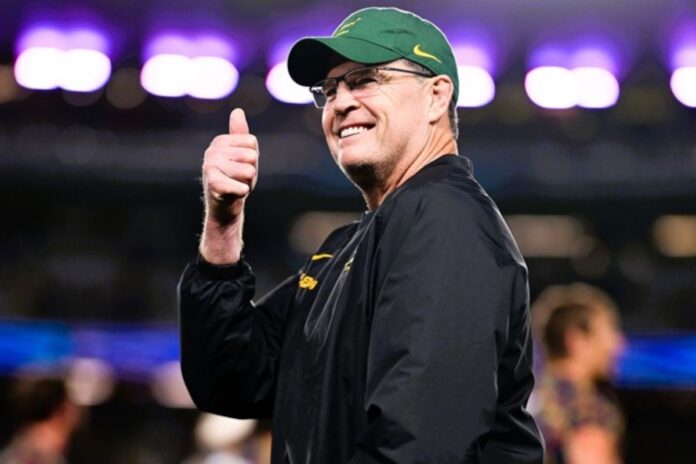 Springboks call up two more uncapped players