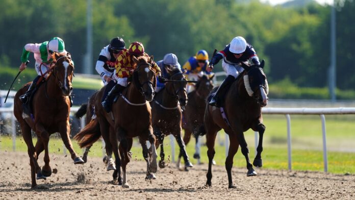 Today on Sky Sports Racing: Sintra seeks first success for Juddmonte at Wolverhampton
