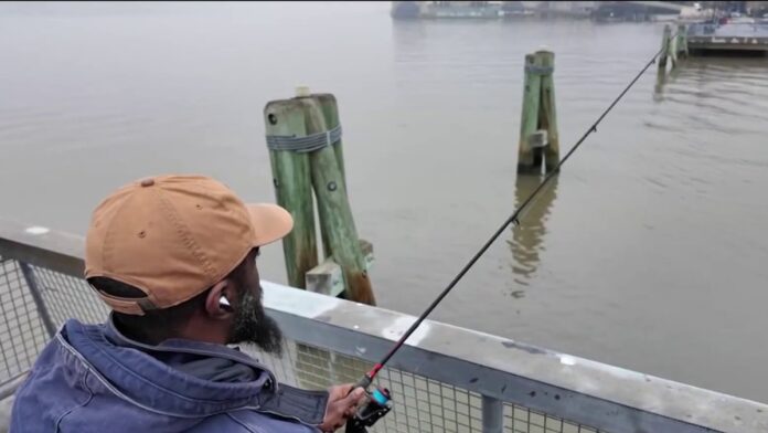 You can eat fish caught in Hudson River for first time in 50 years…
