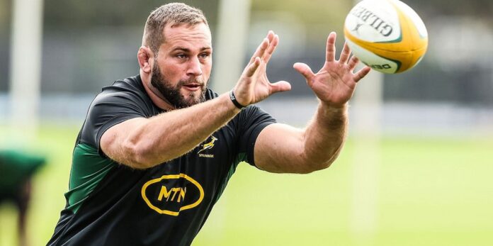 Reminder: In-form Springbok star returning to play in SA