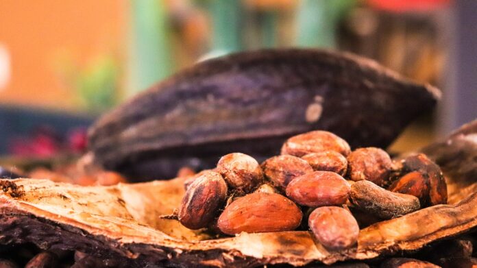 Cocoa Prices Climb as Dollar Weakness Spurs Short Covering