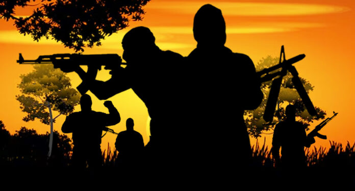 Eight Killed As Gunmen Attack Plateau Community