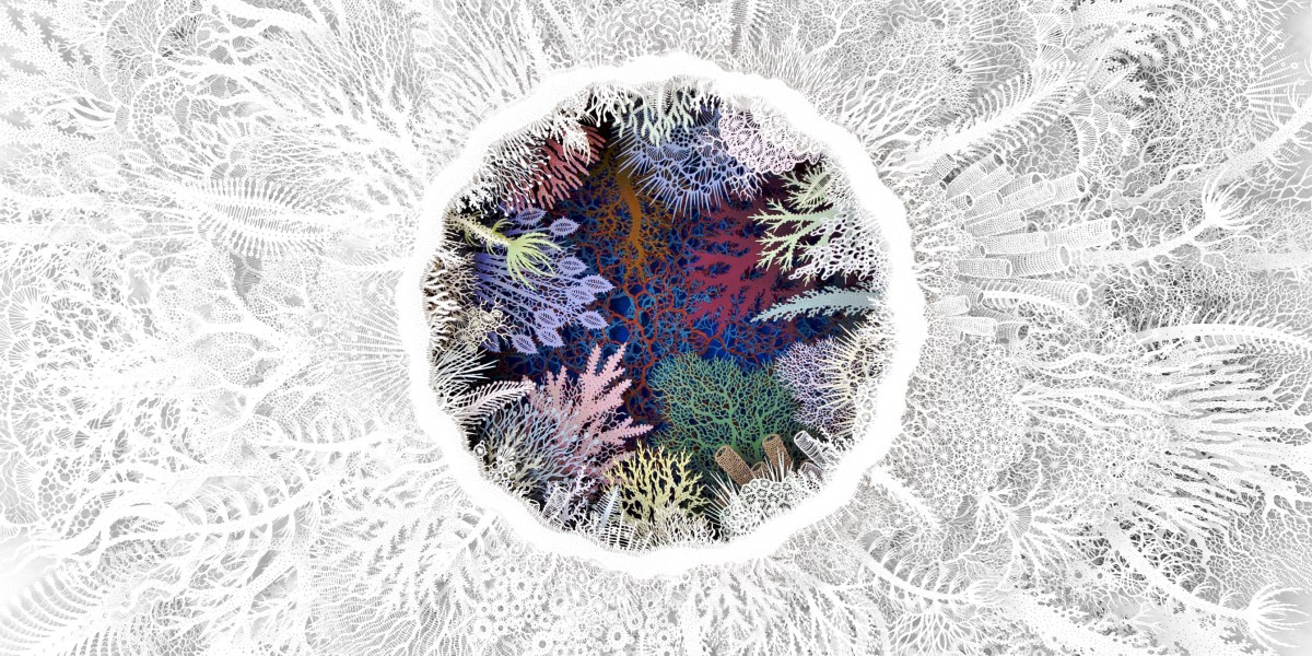 constellations.jpg Constellations