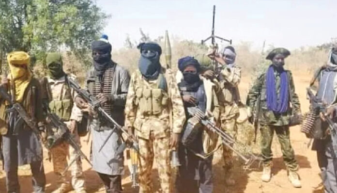 Bandits demand 700 cattle, 1,000 sheep from Katsina communities, trigger mass exodus 