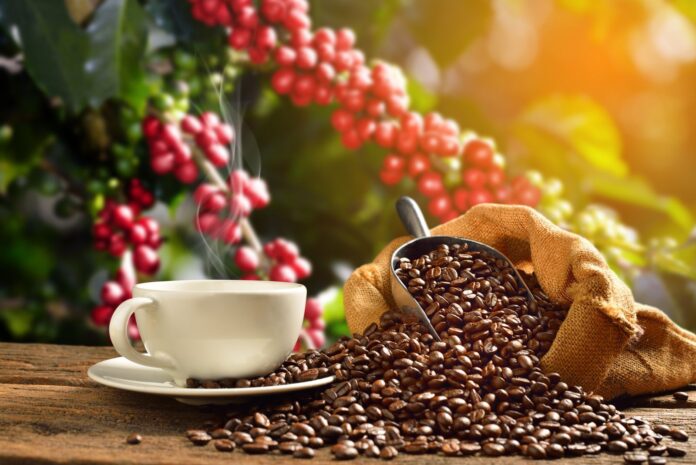 Brazil Dryness and Brazilian Real Strength Push Coffee Prices Higher